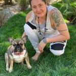 merle fawn french bulldog