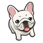 french bulldog image