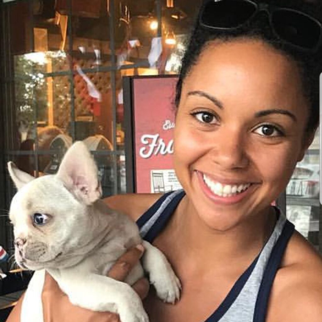 white french bulldog